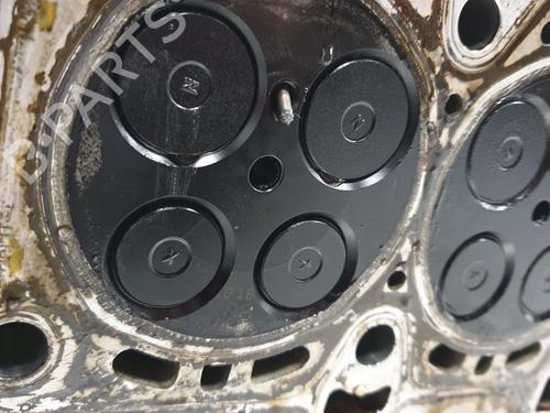 Cylinder head SSANGYONG RODIUS II  | BP32058421M5 