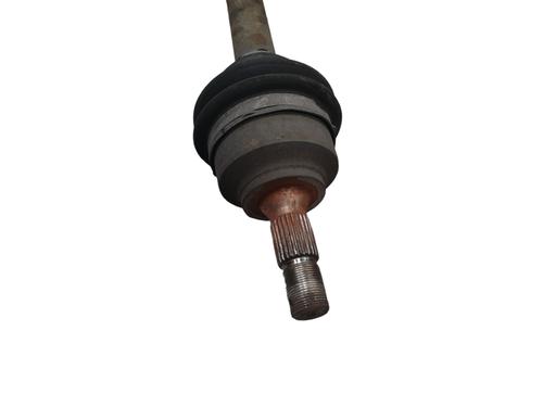  - Image 4