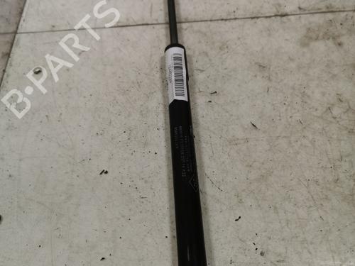 tailgate-lift-support-dacia-duster-hs_-2010-2011-2012-2013-2014-2015-2016-2017-2018-36717603 main image