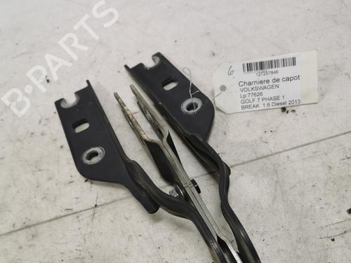 Used Hinge/Door check strap Hinge/Door check strap VW GOLF VII Variant (BA5, BV5) 1.6 TDI (105 hp) 36720017 36720017