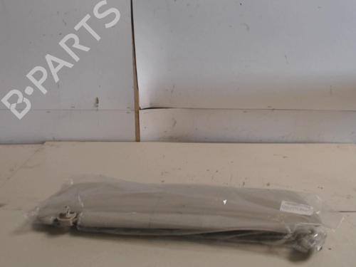 Pala sol esquerda Pala sol esquerda RENAULT TRAFIC III Van (FG_) 2.0 dCi 120 (FGMN) (120 hp) 36730551 36730551