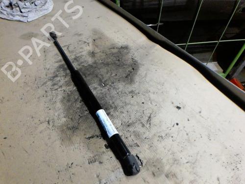 tailgate-lift-support-renault-clio-iii-br01-cr01-2005-2006-2007-2008-2009-2010-2011-2012-2013-2014-36748552 main image