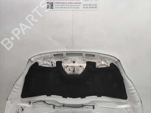 Used Hood Hood FORD GRAND C-MAX (DXA/CB7, DXA/CEU) 1.6 TDCi (115 hp) 36707345 36707345