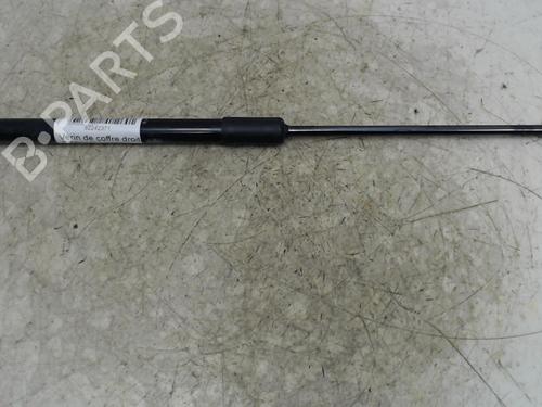 gasdmper-bagklap-citroen-c3-iii-sx-2016-36749729 main image