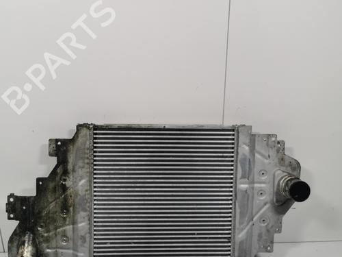 Intercooler Intercooler RENAULT CLIO II (BB_, CB_) [1998-2016] 36913950 36913950