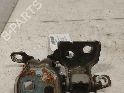 hingedoor-check-strap-dacia-duster-hs_-2010-2011-2012-2013-2014-2015-2016-2017-2018-36716355 main image