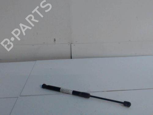 tailgate-lift-support-dacia-duster-hs_-2010-2011-2012-2013-2014-2015-2016-2017-2018-36731415 main image