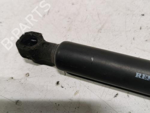 tailgate-lift-support-dacia-sandero-ii-2012-36708555 main image