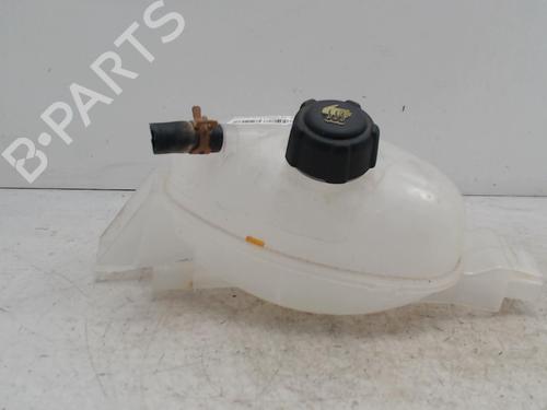 Ekspansjonstank Ekspansjonstank RENAULT MASTER III Van (FV) [2010-2026] 36742739 36742739