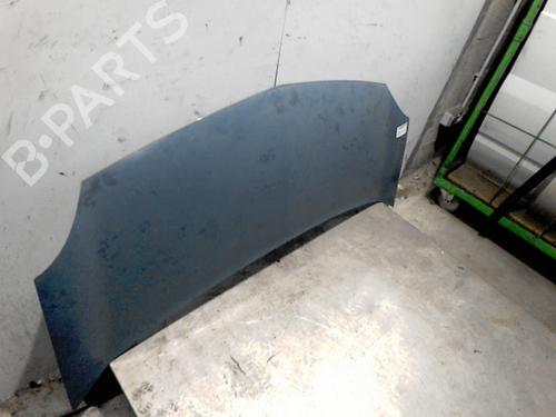 hood-renault-kangoo-express-fw01_-2008-36746487 main image