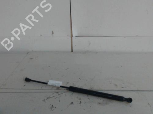 tailgate-lift-support-dacia-sandero-ii-2012-36731854 main image