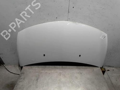 hood-renault-clio-iii-br01-cr01-2005-2006-2007-2008-2009-2010-2011-2012-2013-2014-36744980 main image