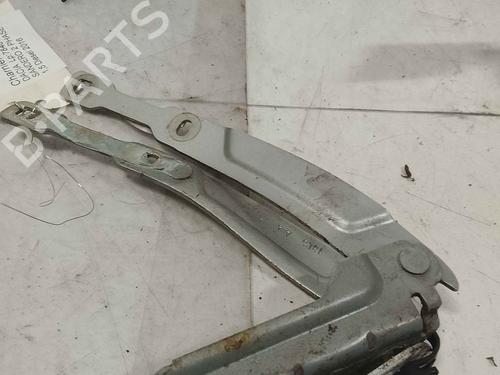 hingedoor-check-strap-dacia-sandero-ii-2012-36716526 main image