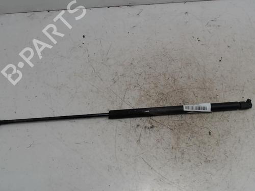 tailgate-lift-support-ford-c-max-dm2-2007-2008-2009-2010-36744874 main image