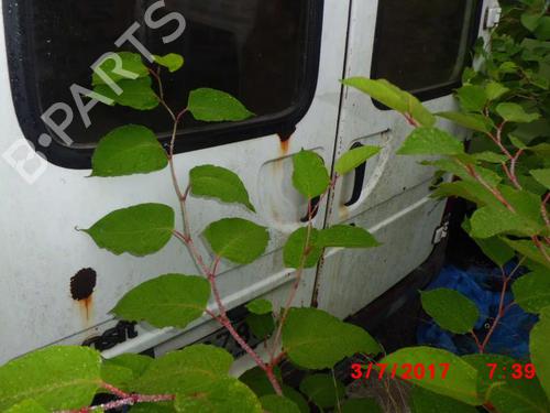  - Image 5