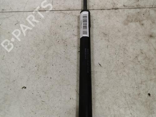 tailgate-lift-support-dacia-duster-hs_-2010-2011-2012-2013-2014-2015-2016-2017-2018-36717604 main image