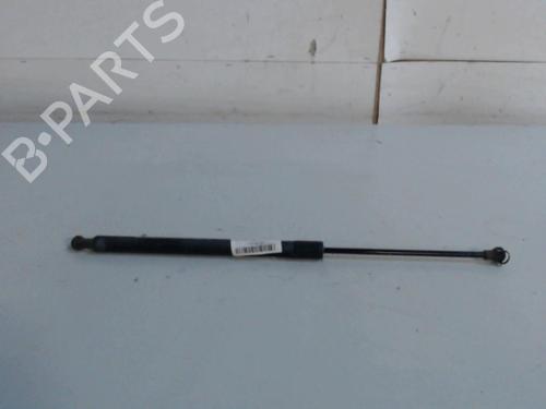 tailgate-lift-support-renault-scenic-iii-jz01_-2008-2009-2010-2011-2012-2013-2014-2015-2016-36734901 main image