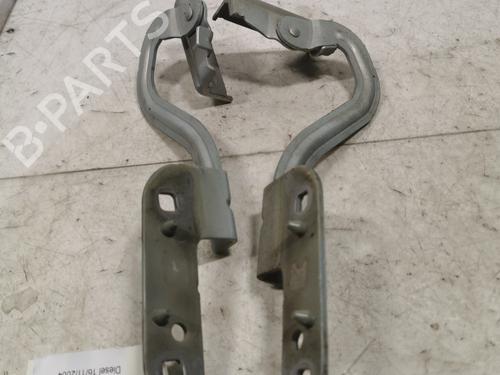 hingedoor-check-strap-renault-modus-grand-modus-fjp0_-2004-36719856 main image