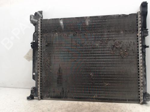 Water radiator RENAULT KANGOO Express (FW0/1_) | BP36748812M31 - Image 2