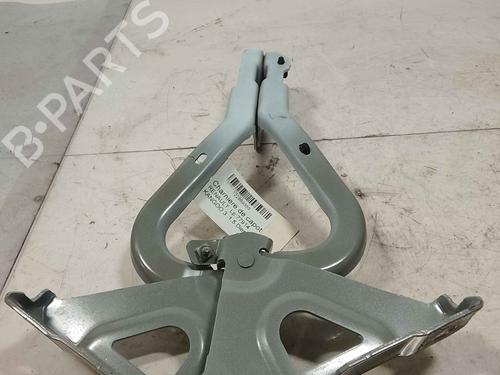 hingedoor-check-strap-renault-kangoo-express-fw01_-2008-36715918 main image