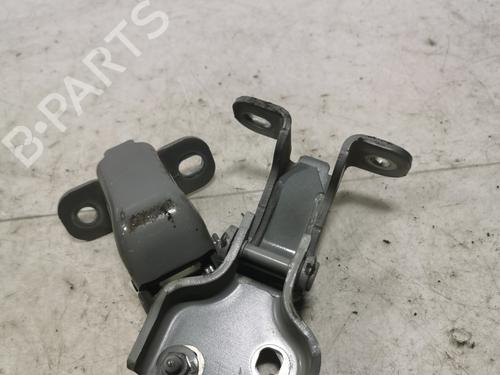 hingedoor-check-strap-renault-trafic-iii-van-fg_-2014-36719703 main image