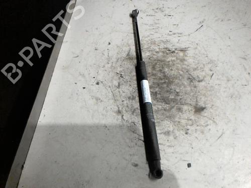 Used Tailgate lift support Tailgate lift support FIAT BRAVO II (198_) 1.6 D Multijet (198AXL1B) (120 hp) 36748437 36748437