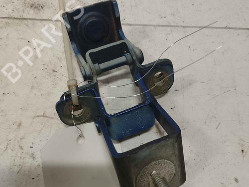 hingedoor-check-strap-dacia-sandero-ii-2012-36716099 main image