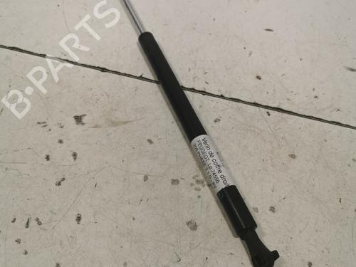 Used Tailgate lift support Tailgate lift support 36750233 36750233
