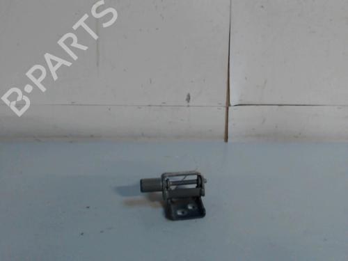 hingedoor-check-strap-renault-clio-iii-br01-cr01-2005-2006-2007-2008-2009-2010-2011-2012-2013-2014-36733342 main image