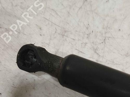 tailgate-lift-support-renault-modus-grand-modus-fjp0_-2004-36713032 main image