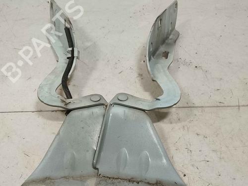 Used Hinge/Door check strap Hinge/Door check strap RENAULT TWINGO II (CN0_) [2007-2026] 36717496 36717496