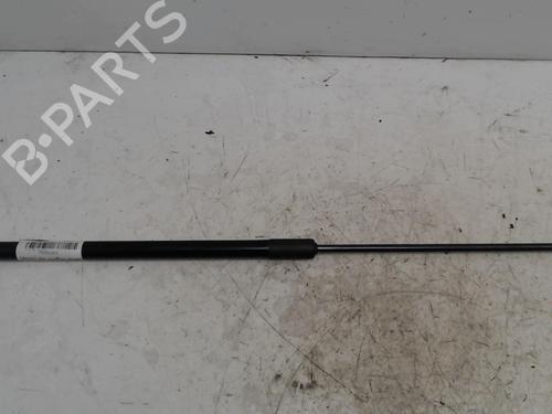 tailgate-lift-support-nissan-juke-f15-2010-2011-2012-2013-2014-2015-2016-2017-2018-2019-36745023 main image