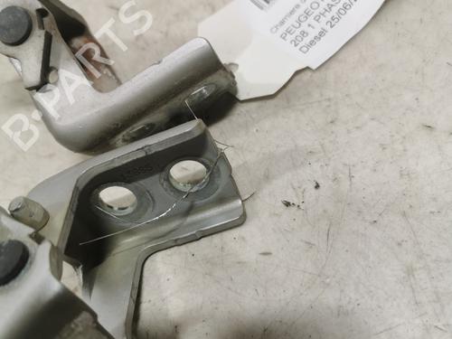 hingedoor-check-strap-peugeot-208-i-ca_-cc_-2012-2013-2014-2015-2016-2017-2018-2019-2020-2021-36719516 main image