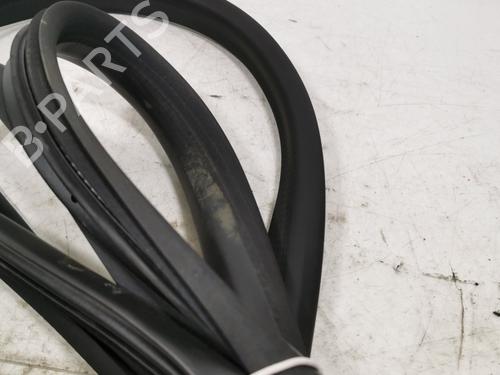 rubber-door-seal-renault-master-iv-van-f8__-2024-36711040 main image