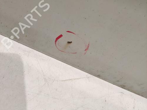 Right tailgate RENAULT TRAFIC II Van (FL) 2.0 dCi 90 (FL0H, FL00, FL01, FL0M, FL0P, FL0S) | BP36711556C77  - Image 9