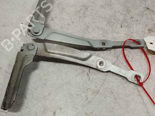 Hinge/Door check strap DACIA SANDERO II 1.5 dCi | BP36713600C146 - Image 3