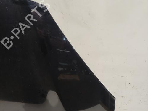Used Hood Hood RENAULT KOLEOS I (HY_) 2.0 dCi 4x4 (HY0K) (150 hp) 36713023 36713023