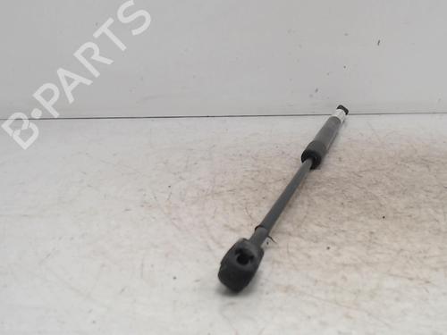 tailgate-lift-support-citroen-c4-ii-nc_-2009-36742242 main image