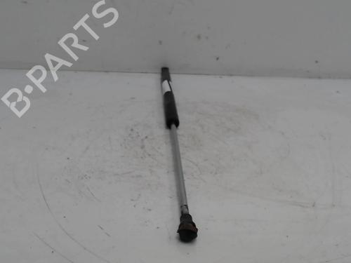 tailgate-lift-support-renault-laguna-ii-bg01_-2001-2002-2003-2004-2005-2006-2007-36740191 main image
