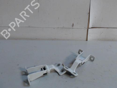 hingedoor-check-strap-renault-kangoo-express-fw01_-2008-36735496 main image