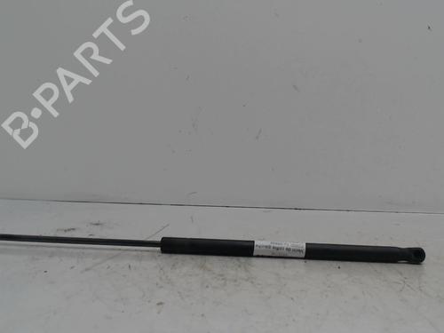 Heckklappendämpfer für Heckklappendämpfer FORD C-MAX (DM2) 1.6 TDCi (109 hp) 36738425 36738425