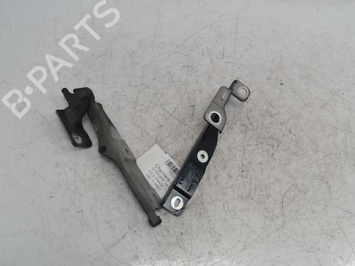 hingedoor-check-strap-citroen-c3-ii-sc_-2009-36741830 main image