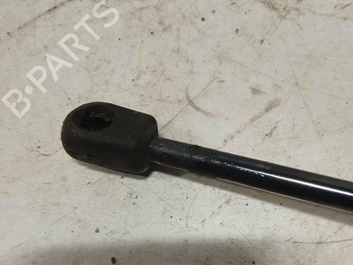 tailgate-lift-support-citroen-c4-grand-picasso-i-ua_-2006-2007-2008-2009-2010-2011-2012-2013-36717187 main image