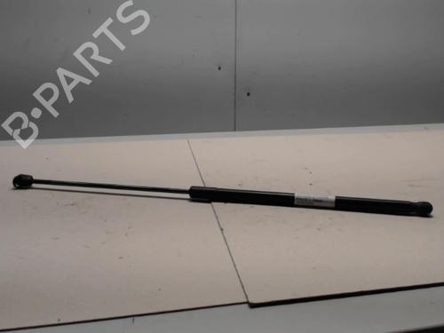 tailgate-lift-support-renault-megane-iii-coupe-dz01_-2008-2009-2010-2011-2012-2013-2014-2015-2016-36725026 main image