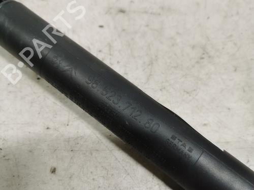 tailgate-lift-support-peugeot-307-cc-3b-2003-2004-2005-2006-2007-2008-2009-36719391 main image