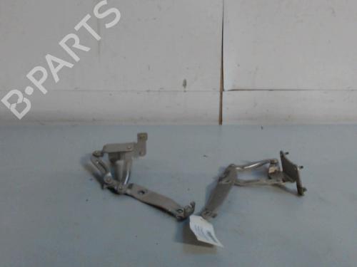 hingedoor-check-strap-renault-scenic-ii-jm01_-2003-2004-2005-2006-2007-2008-2009-2010-36733667 main image