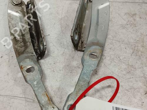 hingedoor-check-strap-dacia-sandero-ii-2012-36713600 main image