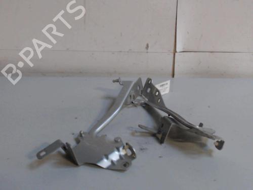 hingedoor-check-strap-renault-scenic-iii-jz01_-2008-2009-2010-2011-2012-2013-2014-2015-2016-36733540 main image
