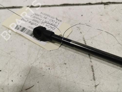 tailgate-lift-support-dacia-duster-hs_-2010-2011-2012-2013-2014-2015-2016-2017-2018-36706991 main image