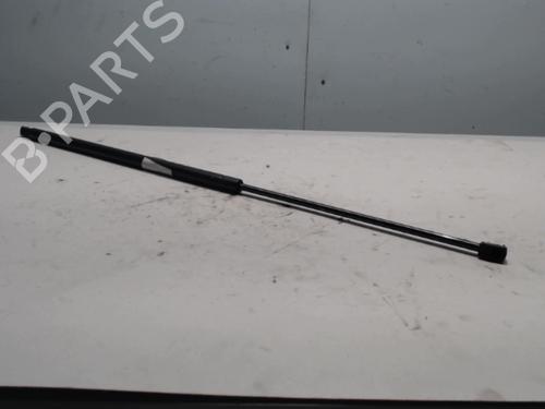 Used Tailgate lift support Tailgate lift support FIAT DOBLO Box Body/MPV (223_) [2000-2026] 36727212 36727212